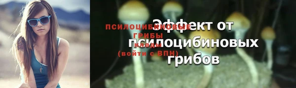 а пвп мука Аркадак
