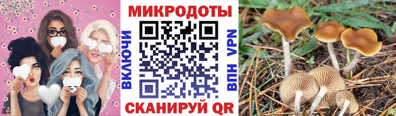 Галлюциногенные грибы Psilocybe Учалы
